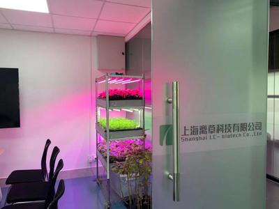 新聞中心的照明設備 科技與藝術的交融，打造專業傳播空間